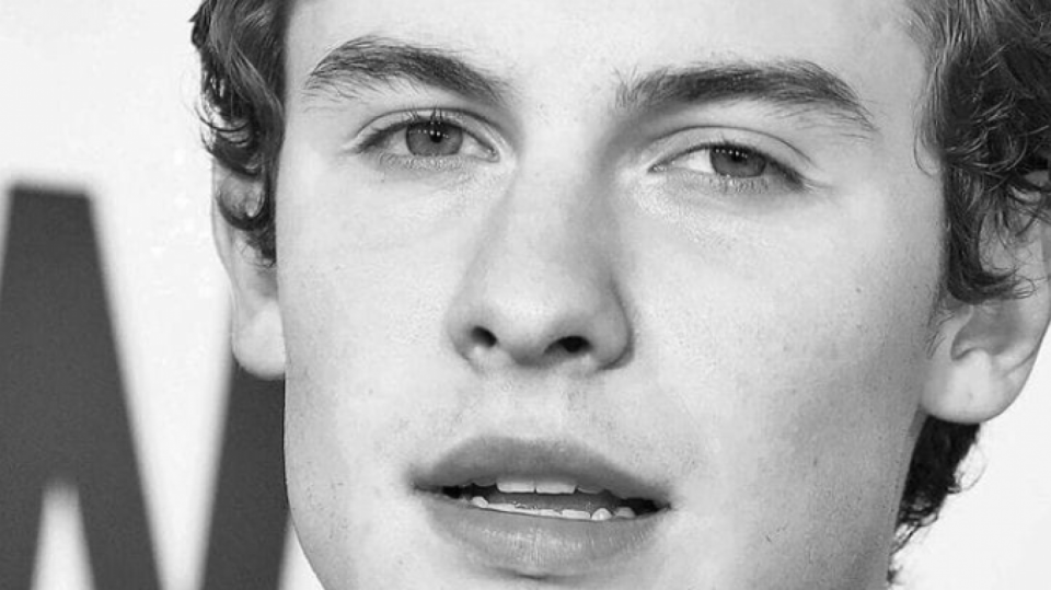 Shawn Mendes